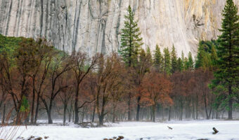 Mañana de invierno en Yosemite - jabonnatural