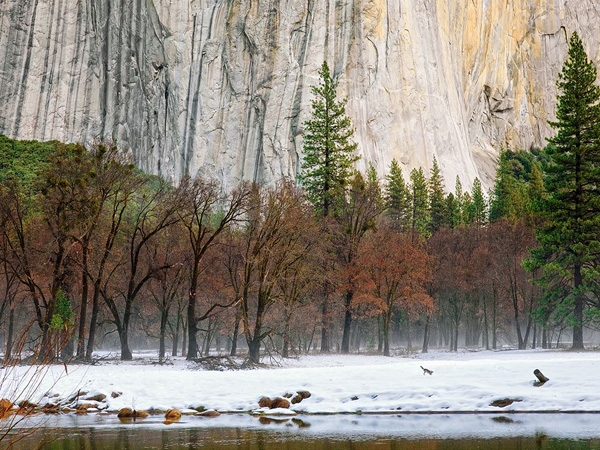 Mañana de invierno en Yosemite - jabonnatural