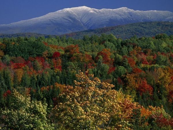Colores de otoño en las Montañas Blancas