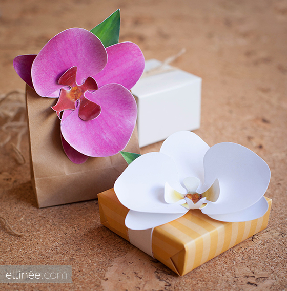 Orquídeas de papel